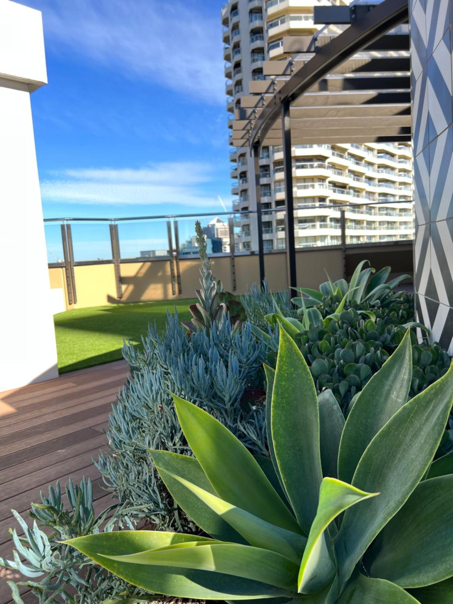 Sydney Hyde Park Private Apartments By Paxsafe Buitenkant foto